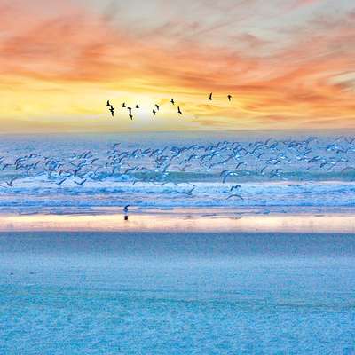 Myrtle Beach, SC