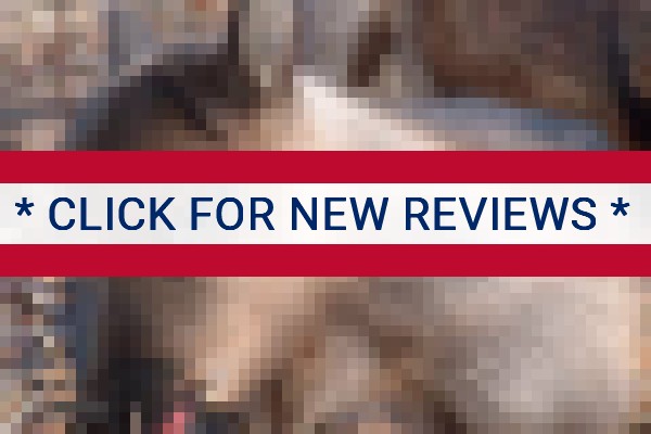 www.agateinn.com - check out latest independent reviews
