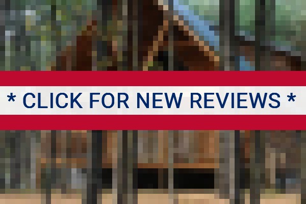 www.cabinsatpinehaven.com - check out latest independent reviews