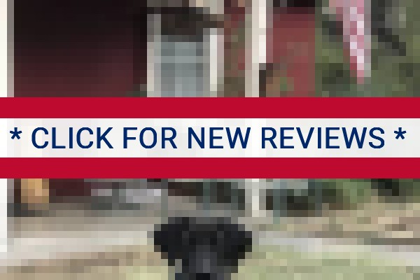 www.jackasshostel.com - check out latest independent reviews
