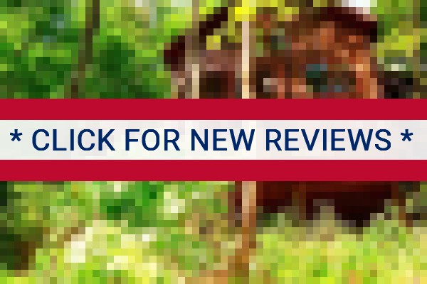 www.mountaintopcabinrentals.com - check out latest independent reviews