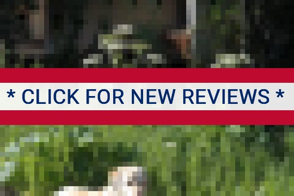 www.vacationrentaleagleriver.com - check out latest independent reviews