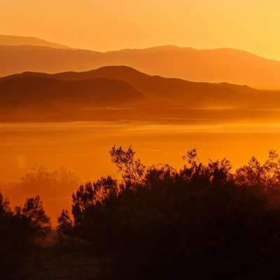 California