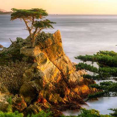 California