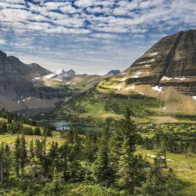 Montana