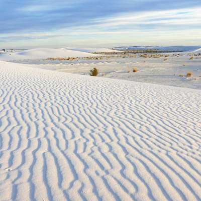 New Mexico