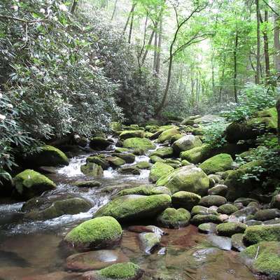 Tennessee